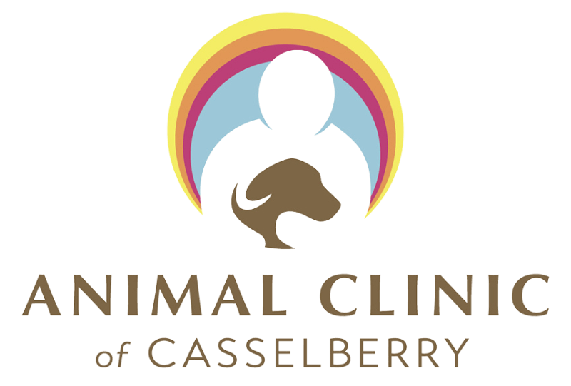 animal clinic of  Animal Clinic of Casselberry logo
