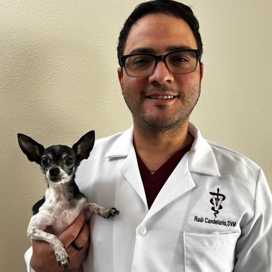 Dr. Candelario Dr. Díaz