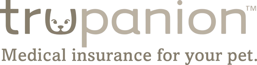 Scratchpay Logo